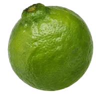 Stera Sub Lime men collection