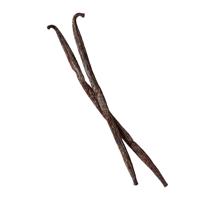 Stera firefly